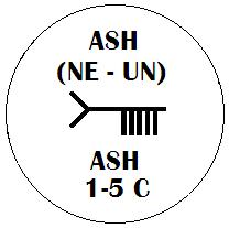 Nion - Ash Ogham