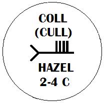 Coll - Hazel Ogham